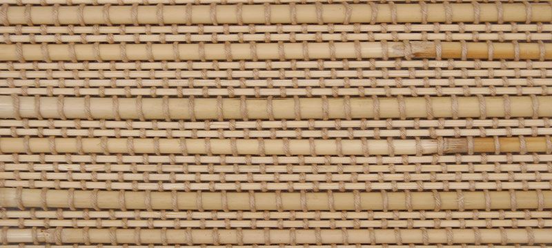 B5